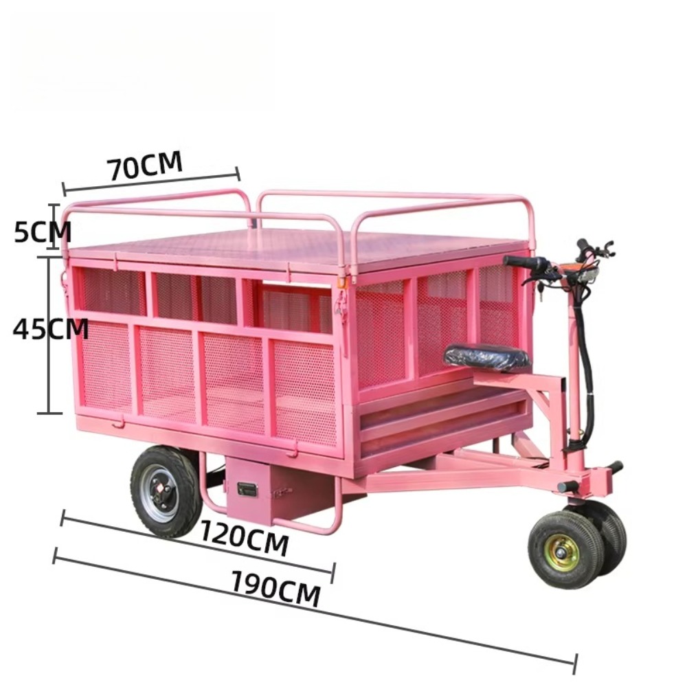 3 Wheel Electric Flat Cart Rev - Snacks Food Stall review and price