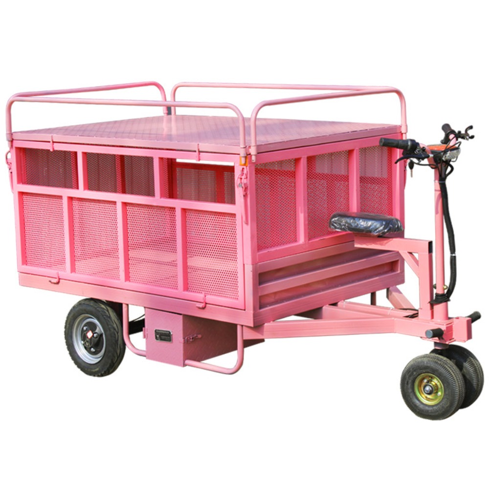 3 Wheel Electric Flat Cart Rev - Snacks Food Stall review and price