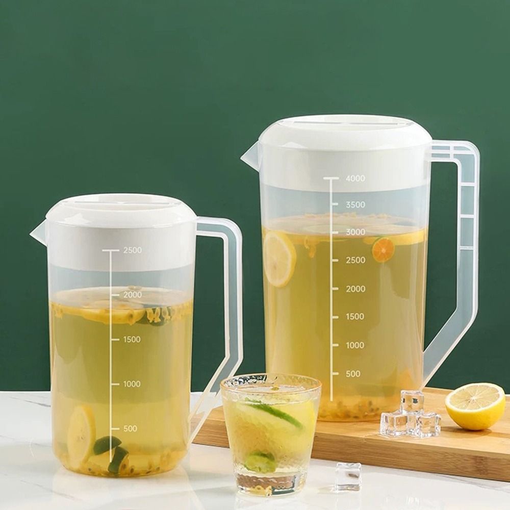 Plastic Container Transparent  - Food Xxl review and price