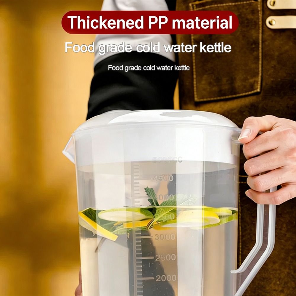 Plastic Container Transparent  - Food Xxl review and price