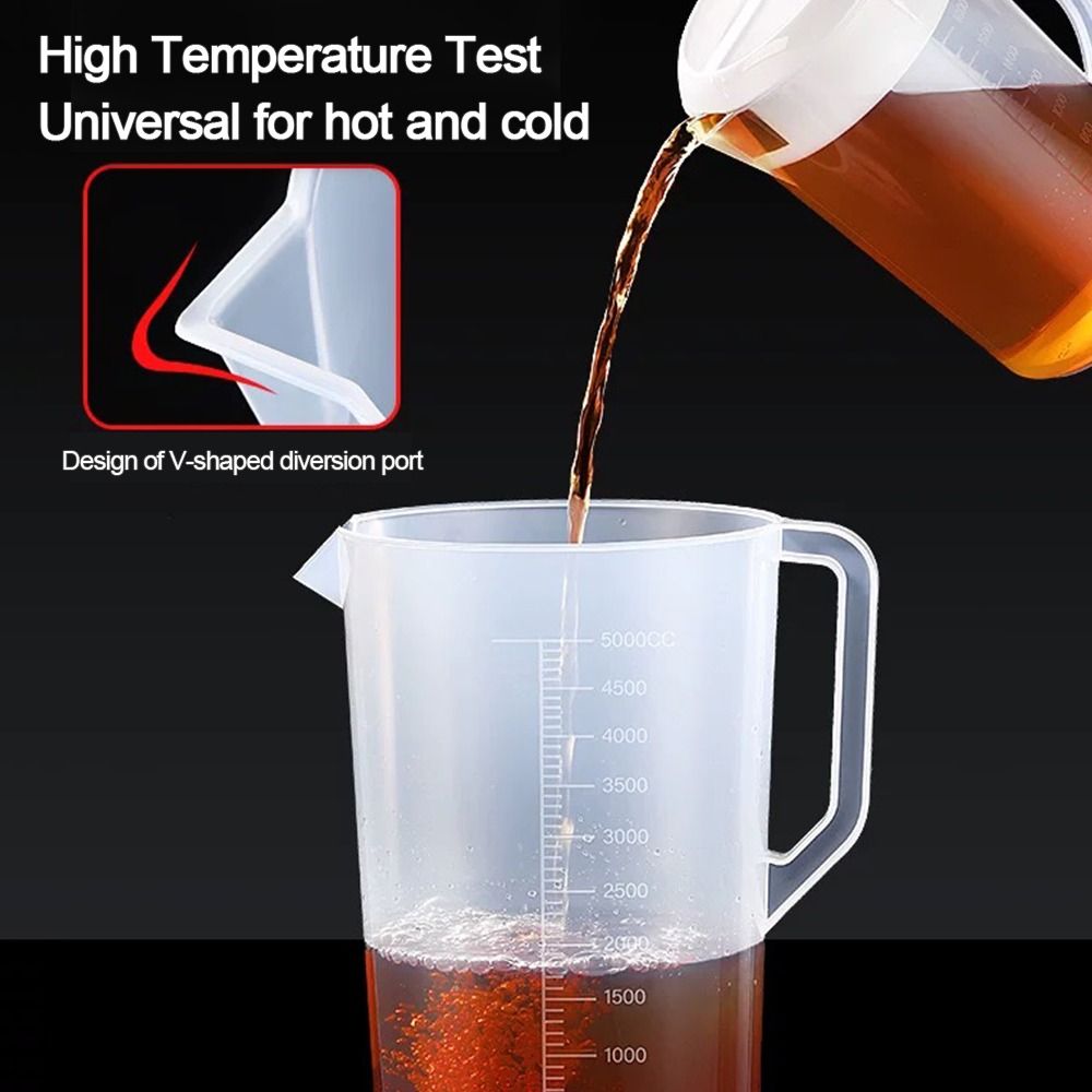Plastic Container Transparent  - Food Xxl review and price