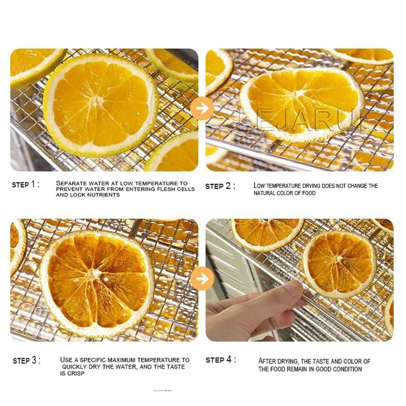 Fruit Dryer Household Food Dri - Dried Fruit Mix review and price